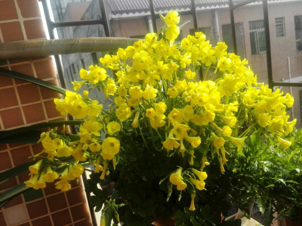 QQͼƬ20150212130502.jpg