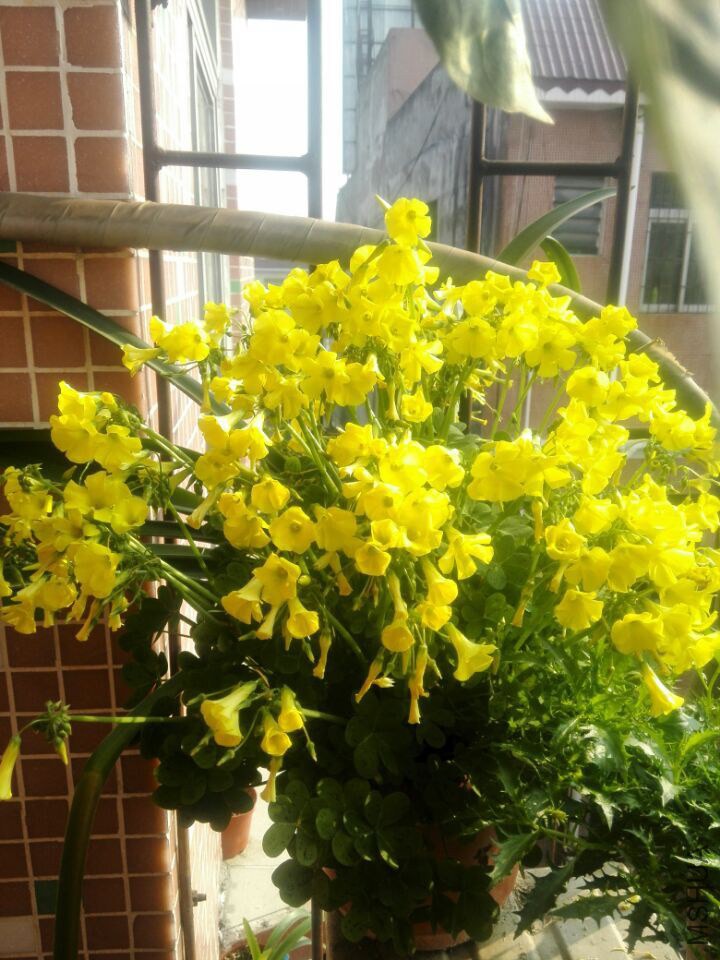 QQͼƬ20150212130457.jpg