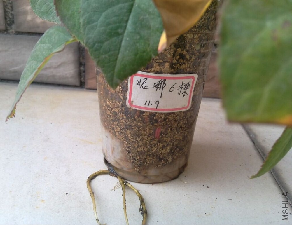 QQͼƬ20150213081118.jpg