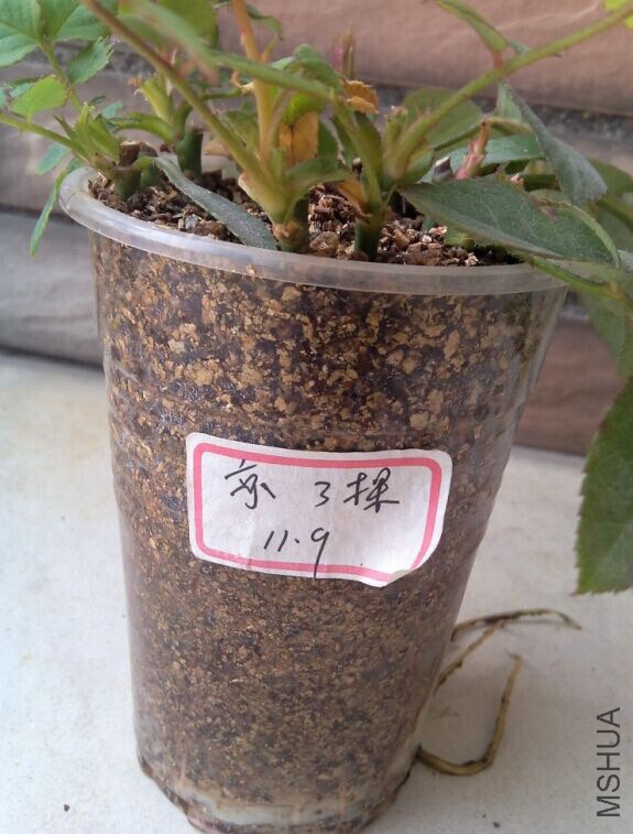 QQͼƬ20150213081516.jpg