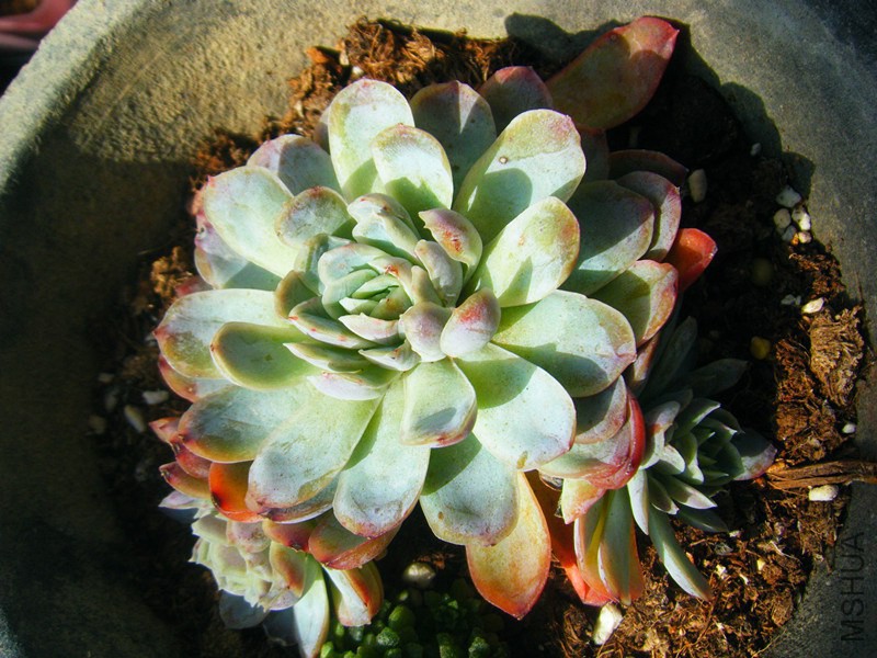 DSCF0560_����.jpg