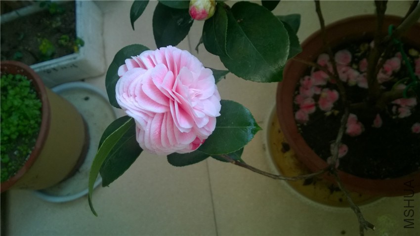 WP_20150213_08_37_17_Pro.jpg