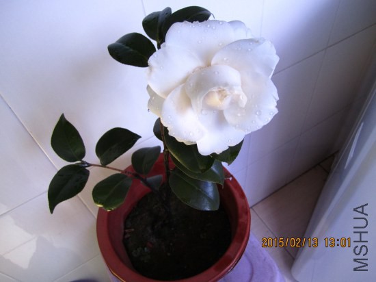 IMG_5562_�༭.jpg
