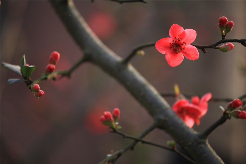 ���磬б�����ҫ���������� (11).JPG