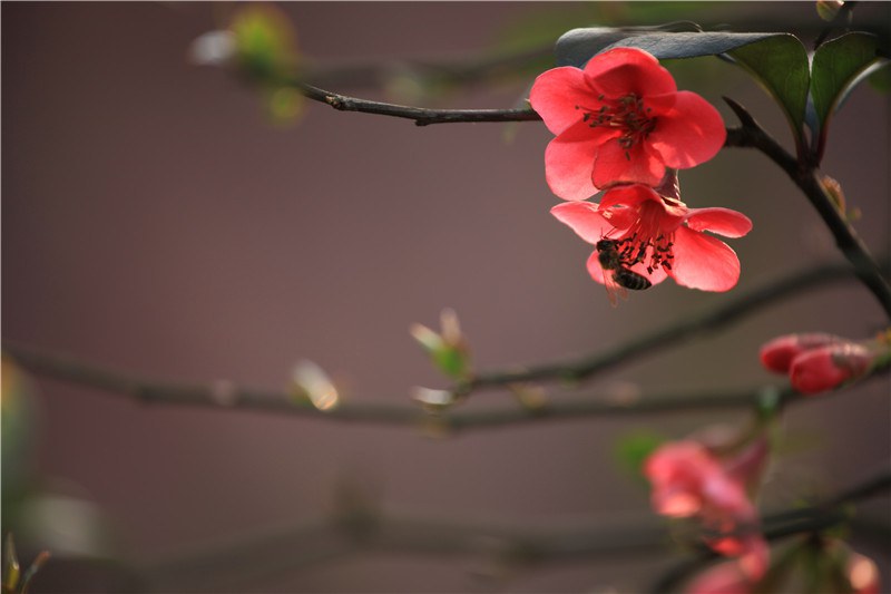 ���磬б�����ҫ���������� (12).JPG