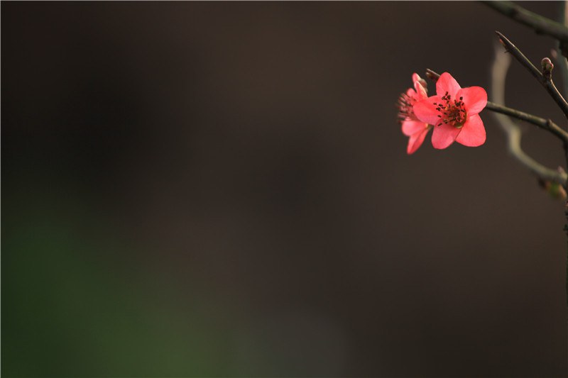 ���磬б�����ҫ���������� (13).JPG