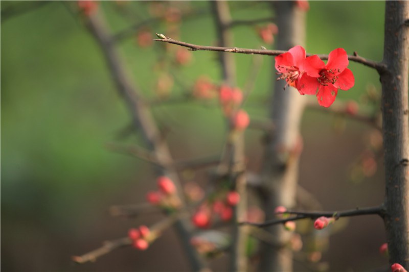 ���磬б�����ҫ���������� (14).JPG