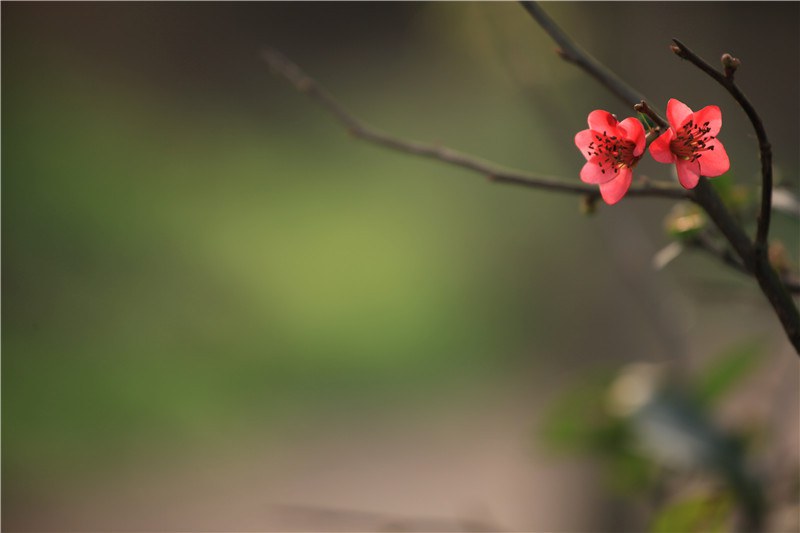 ���磬б�����ҫ���������� (15).JPG