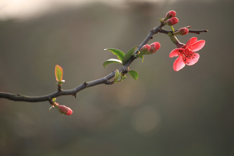 ���磬б�����ҫ���������� (18).JPG