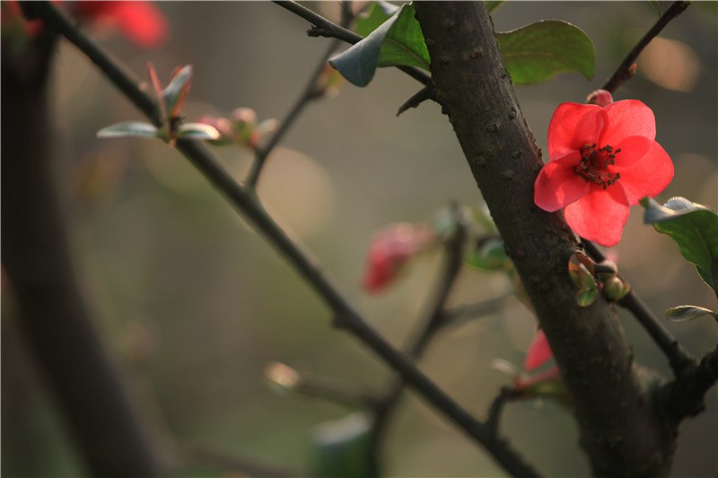 ���磬б�����ҫ���������� (20).JPG