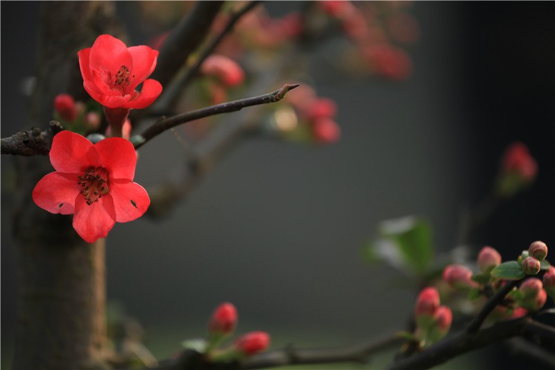 ���磬б�����ҫ���������� (21).JPG