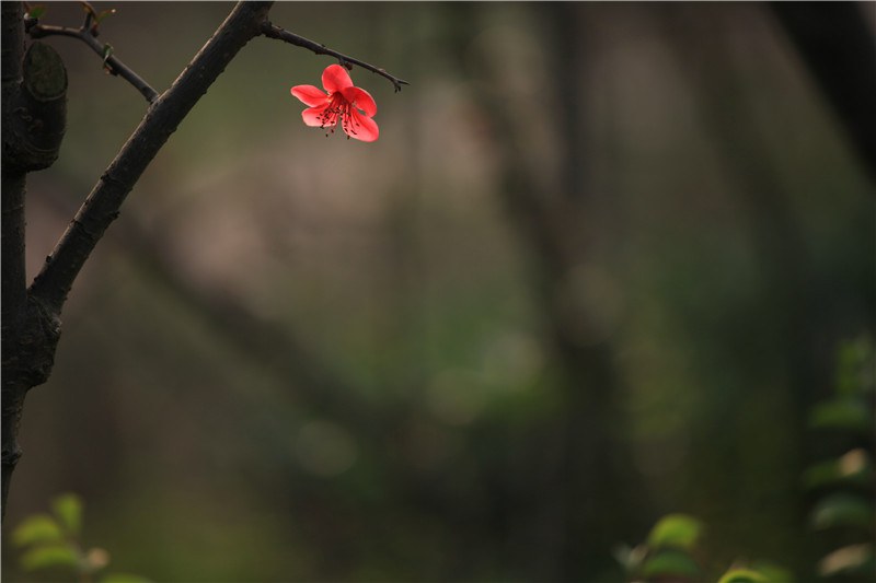 ���磬б�����ҫ���������� (22).JPG