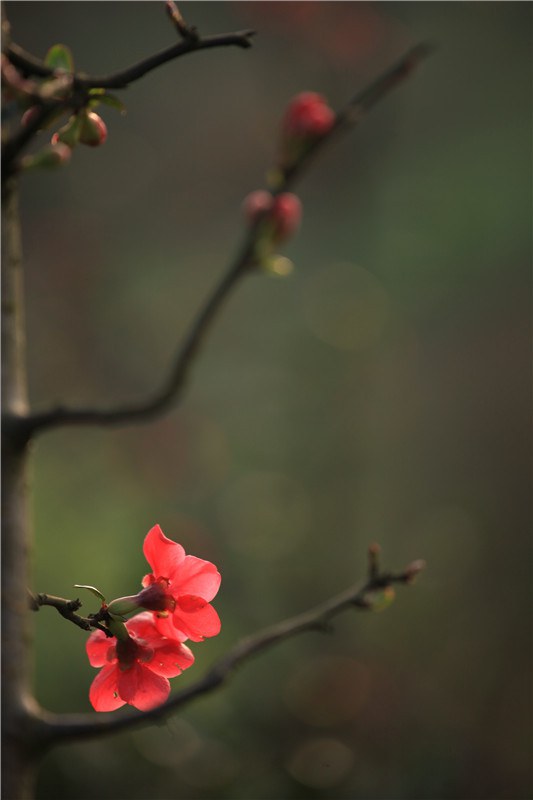 ���磬б�����ҫ���������� (24).JPG