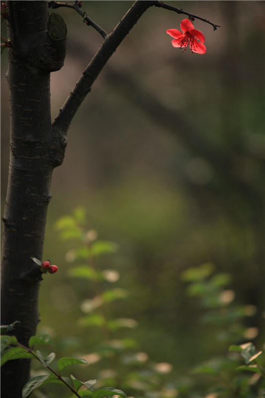 ���磬б�����ҫ���������� (25).JPG