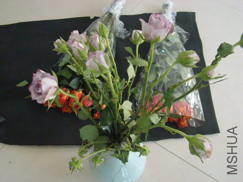 DSC07632.JPG
