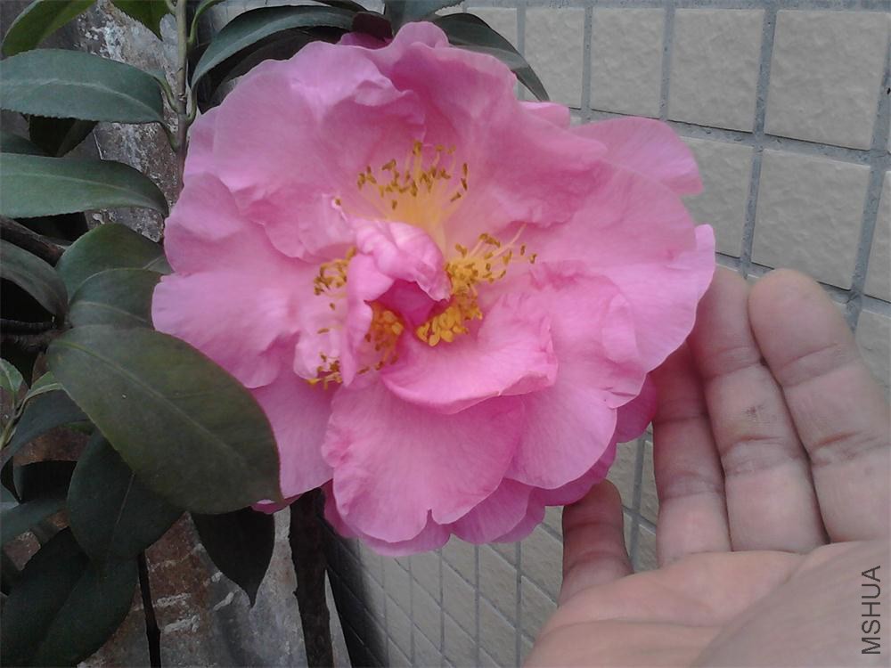 IMG00240.jpg
