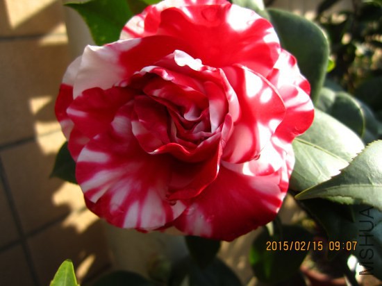 IMG_5580_�༭.jpg