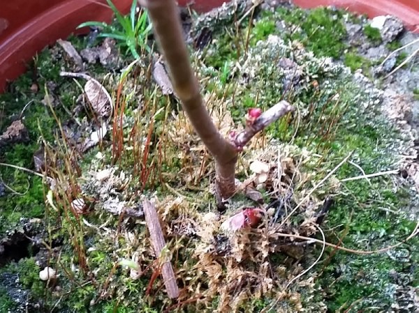 20150214_153456.jpg