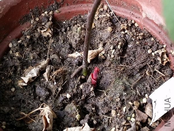 20150214_153436.jpg