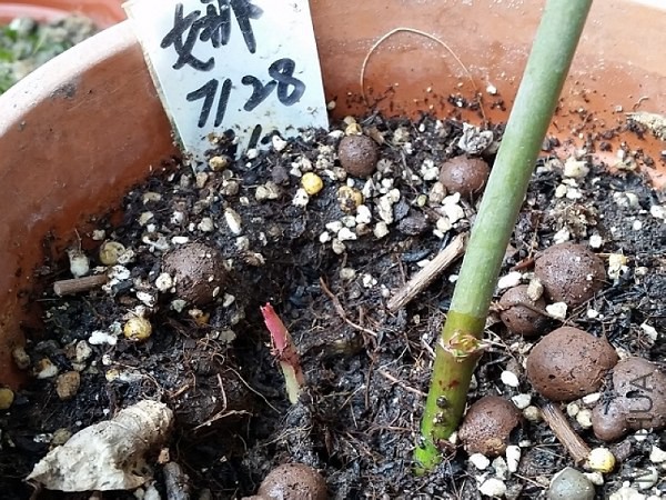 20150214_153444.jpg