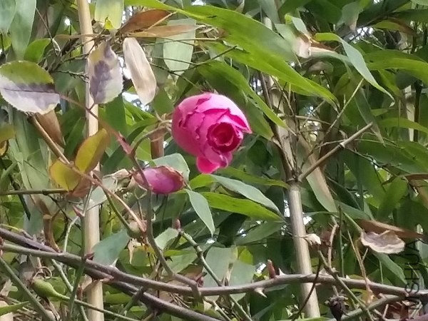 20150214_162210.jpg