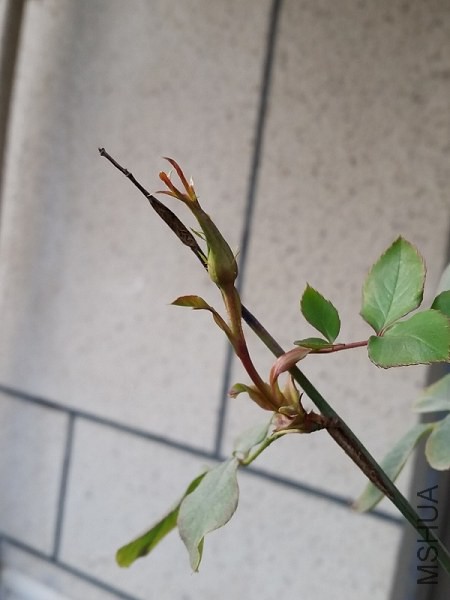 20150214_162045.jpg