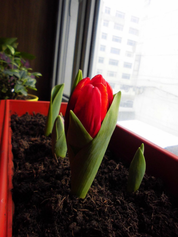 ����С���ݼ���֮��