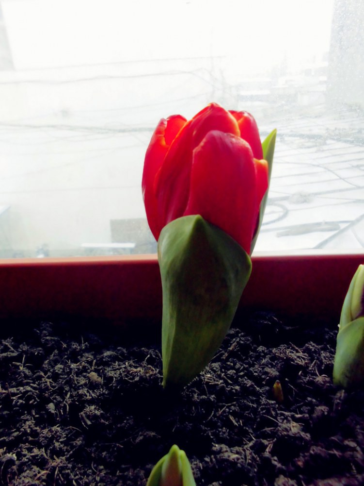 �����ó���