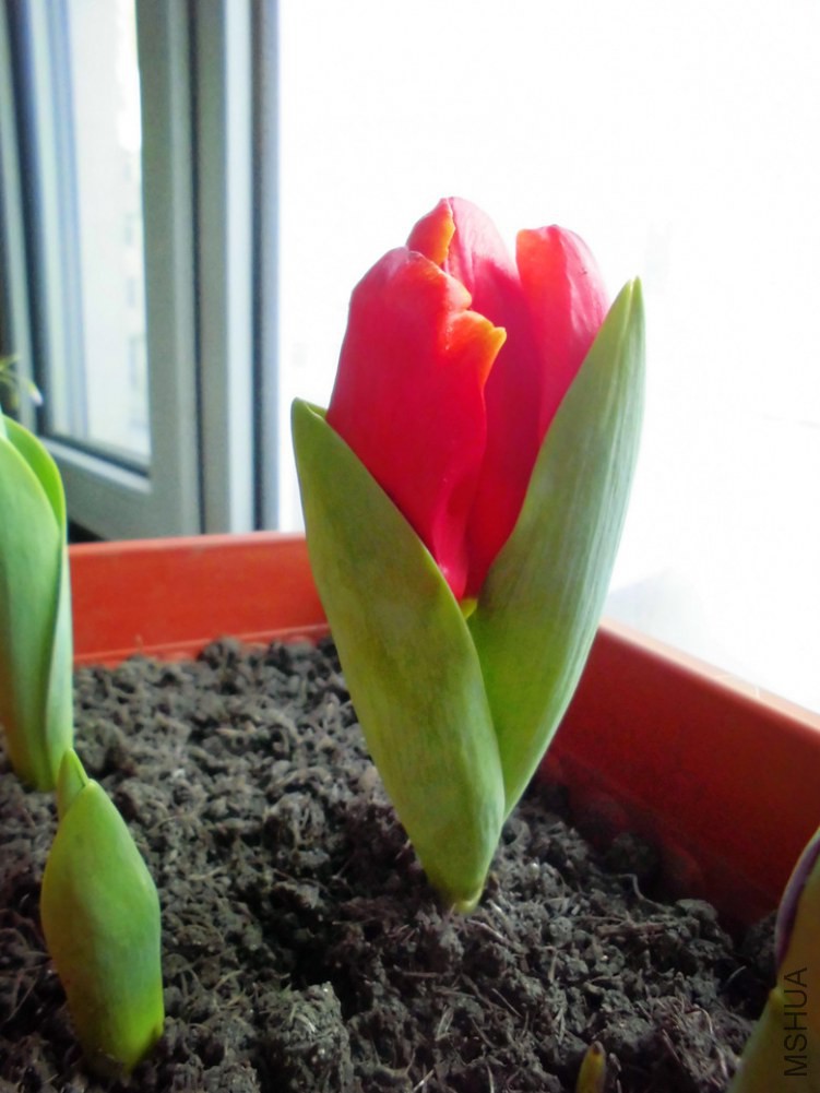 ����3����֮���С����