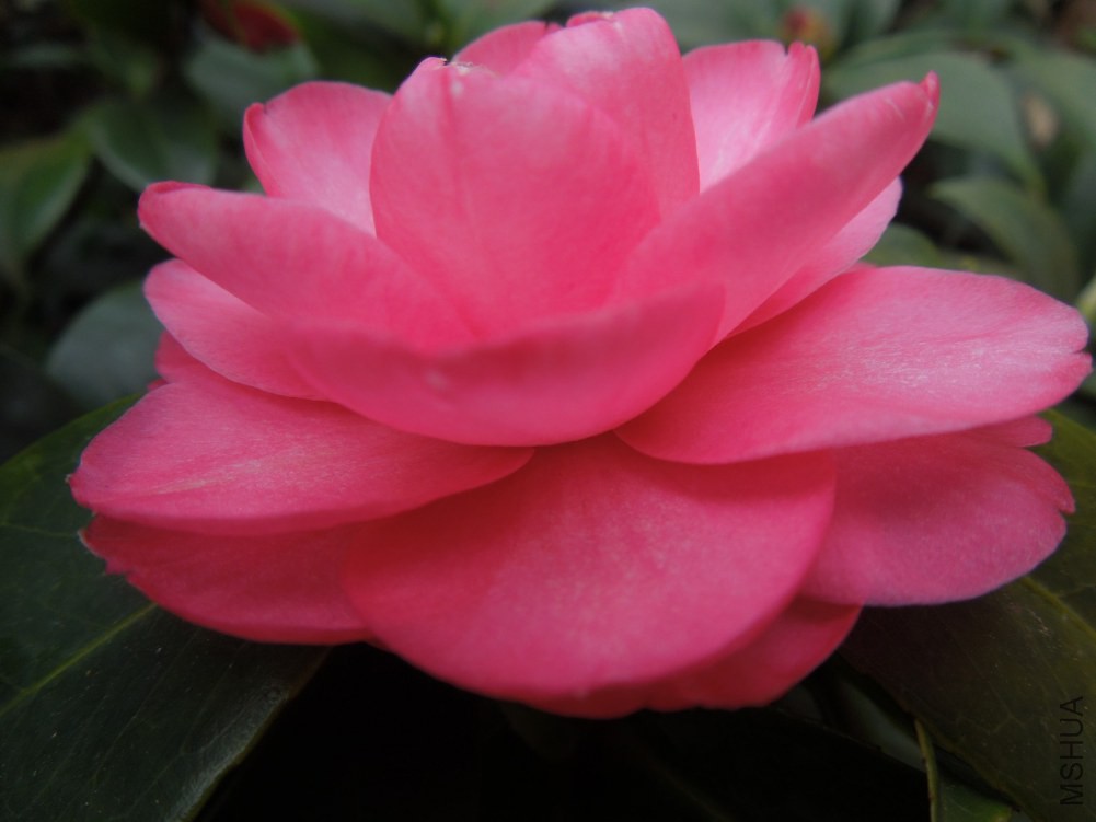 DSCN4541.JPG