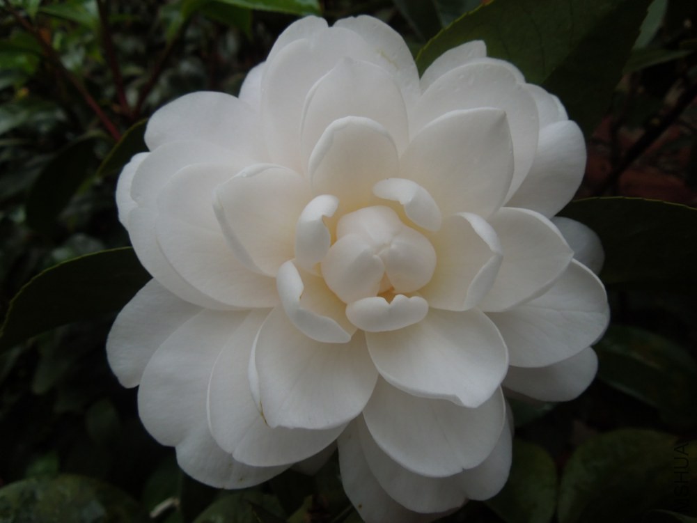 DSCN4568.JPG