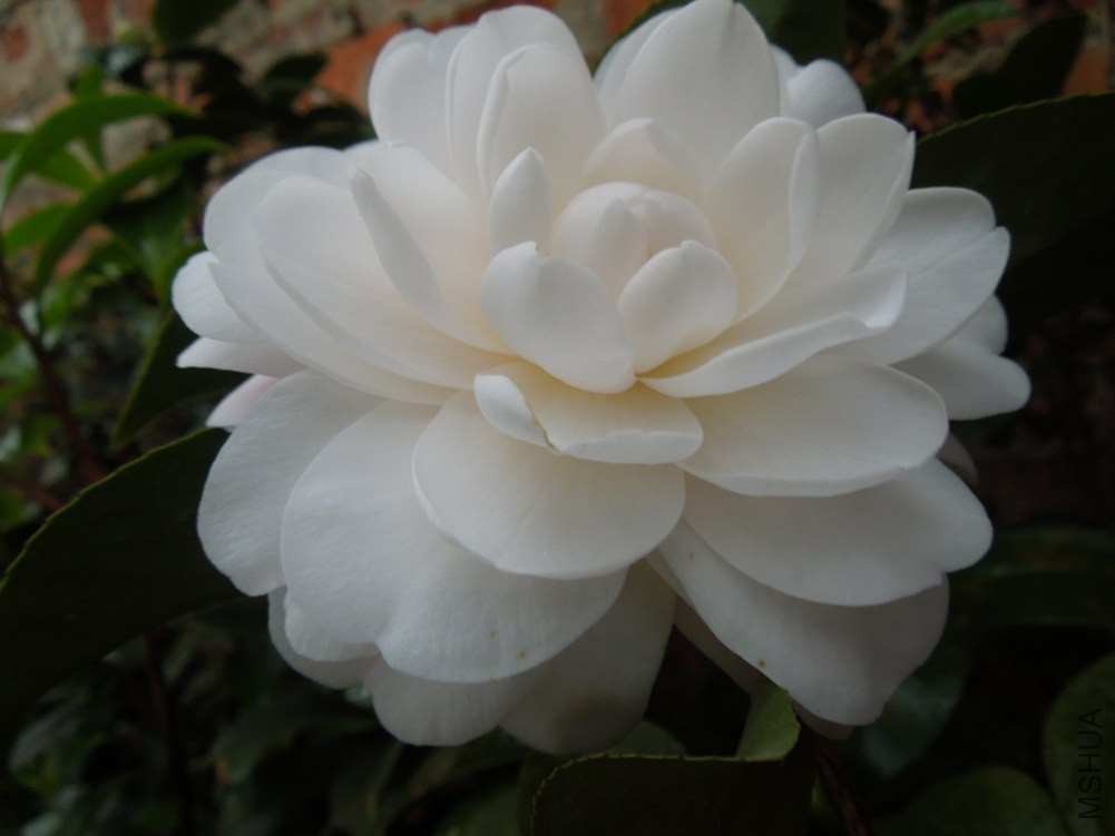DSCN4569.JPG