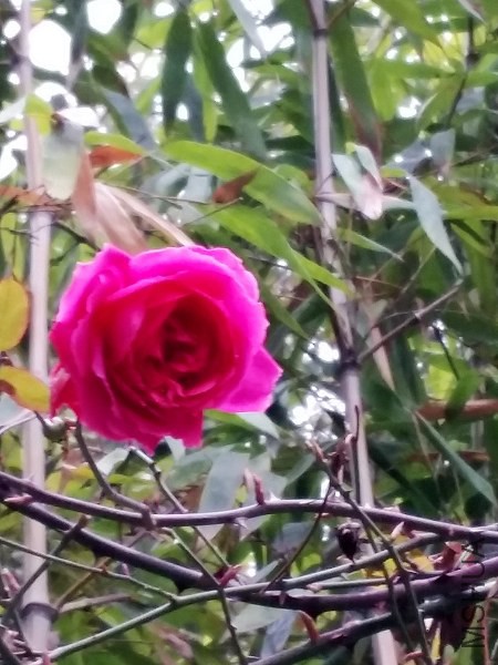 20150216_083201.jpg