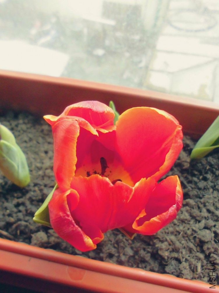 ����֮��չ���˿���������