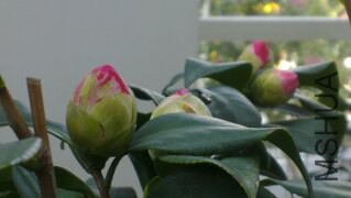 15020051.jpg