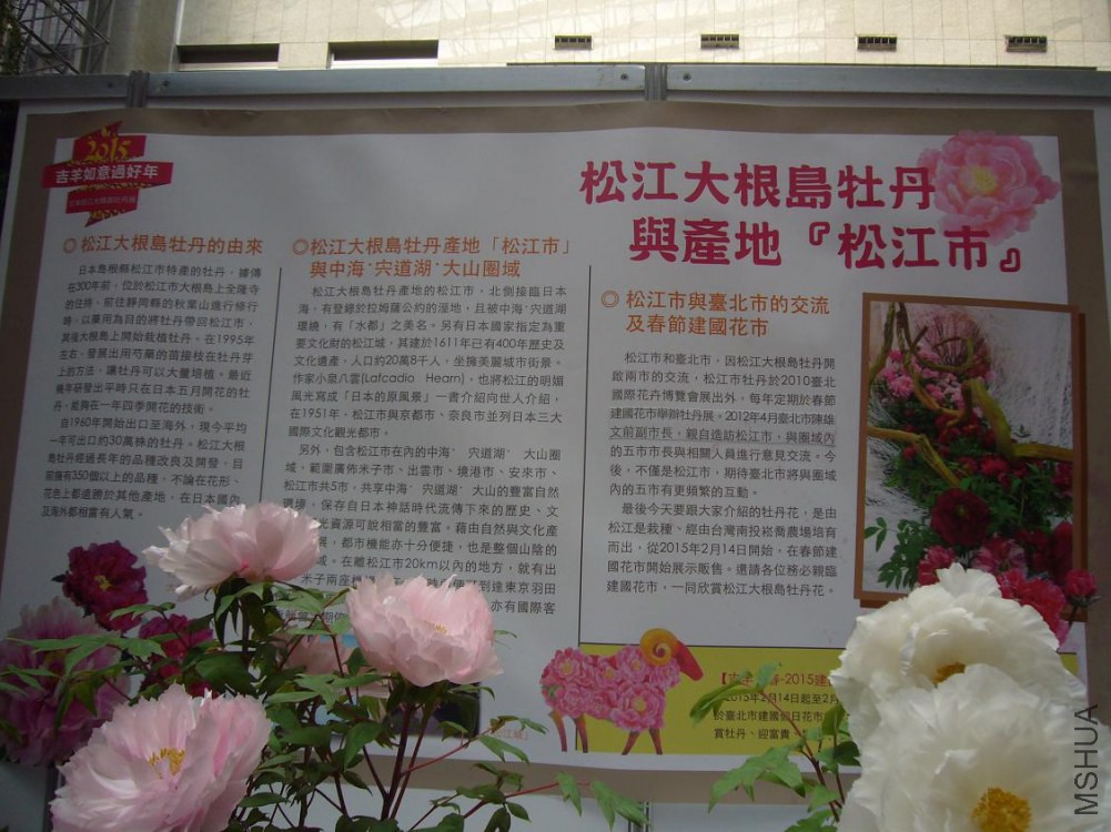 ���� P1040884.JPG