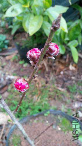 IMG_20150214_175348.jpg