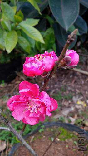 IMG_20150216_170529.jpg