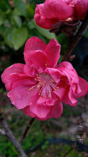IMG_20150216_170654.jpg