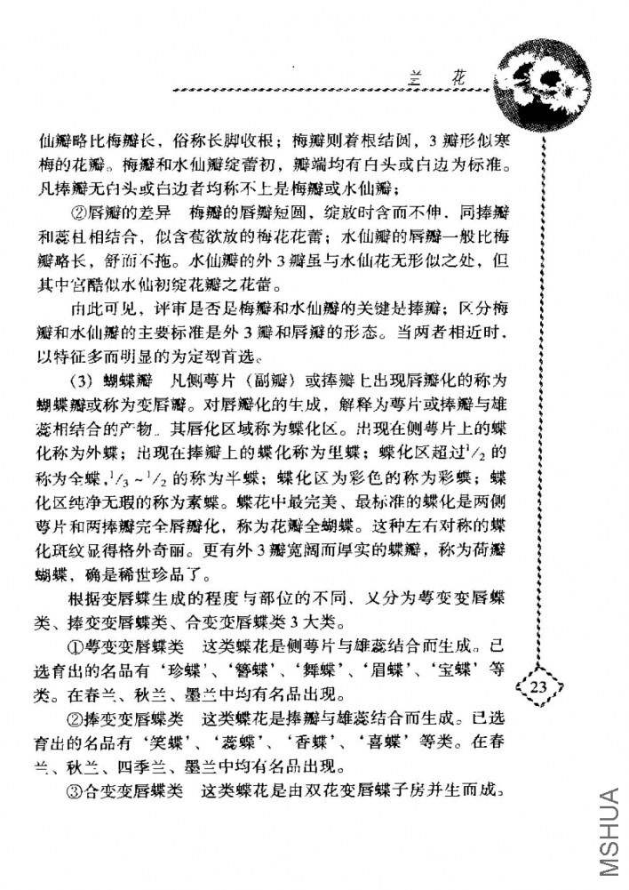����_ҳ��_041.jpg