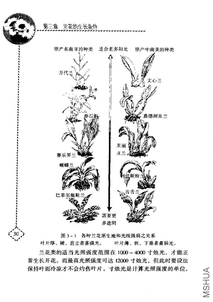 ����_ҳ��_048.jpg
