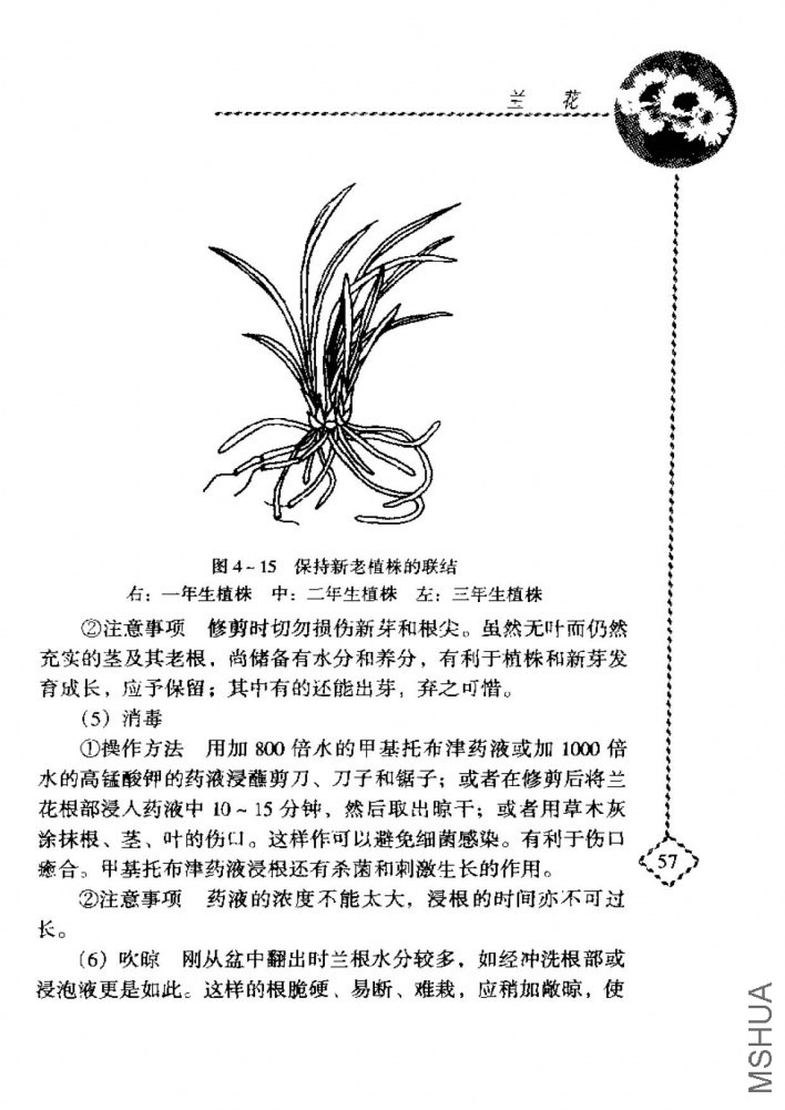 ����_ҳ��_075.jpg