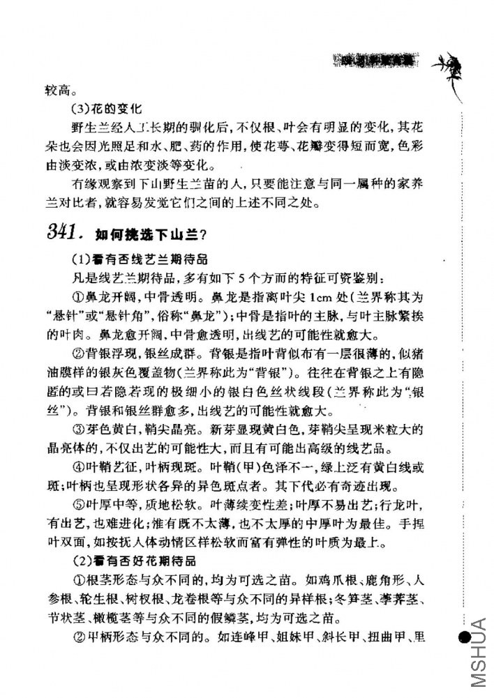 ����-_ҳ��_262.jpg