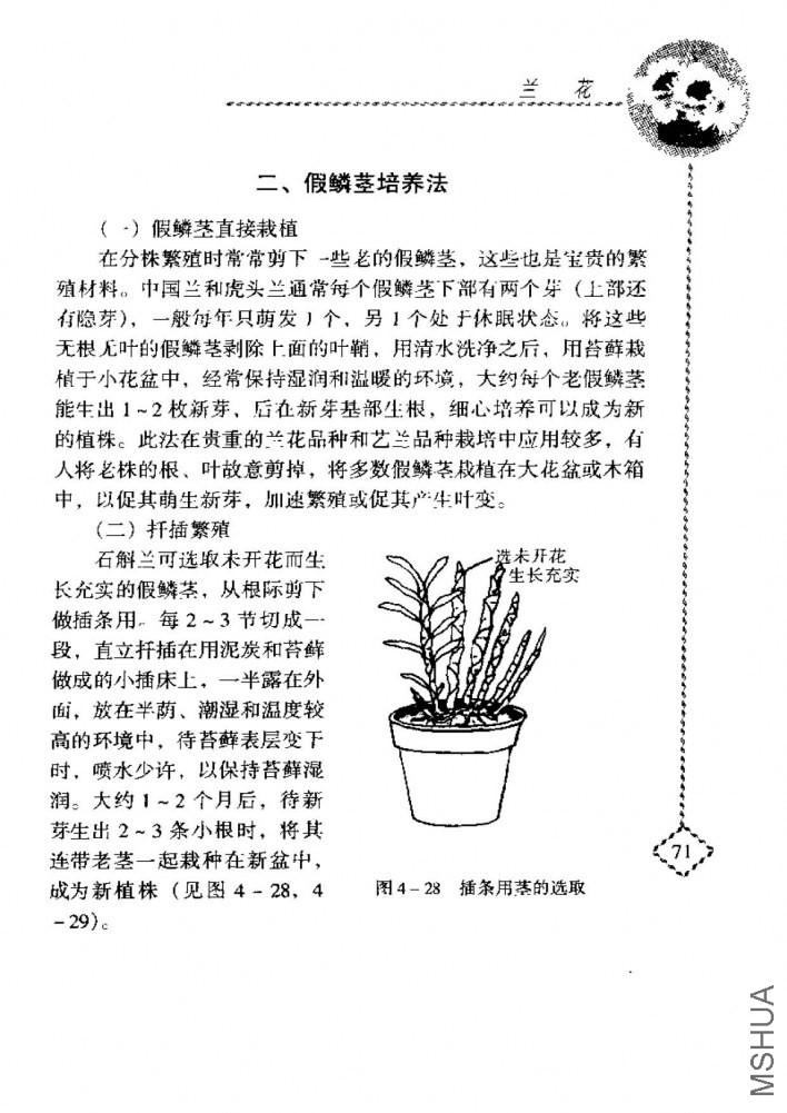 ����_ҳ��_089.jpg