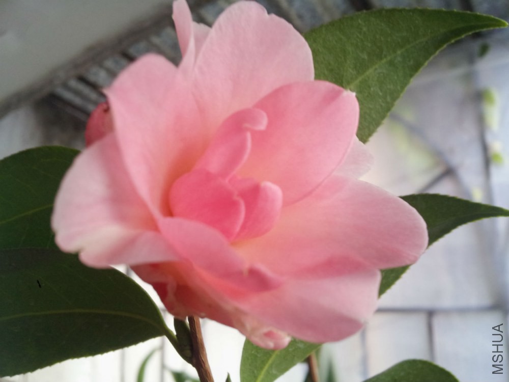 20150216_173103.jpg