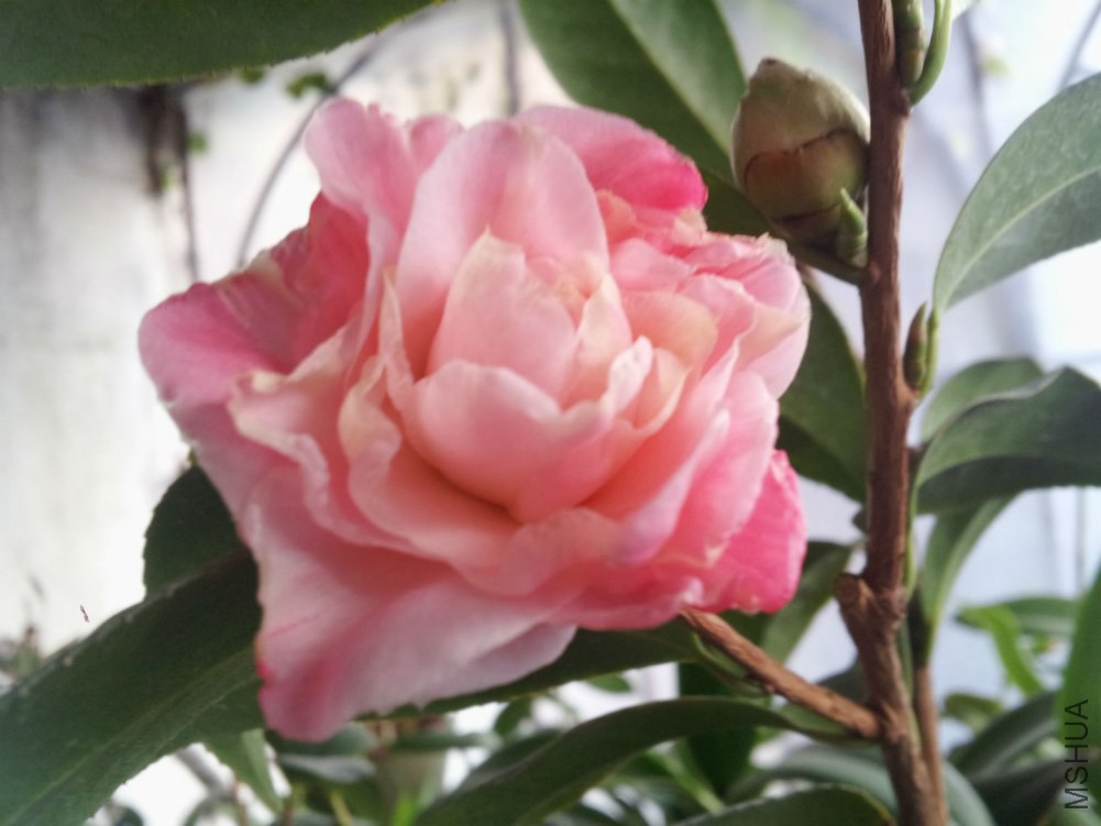 20150216_172539.jpg