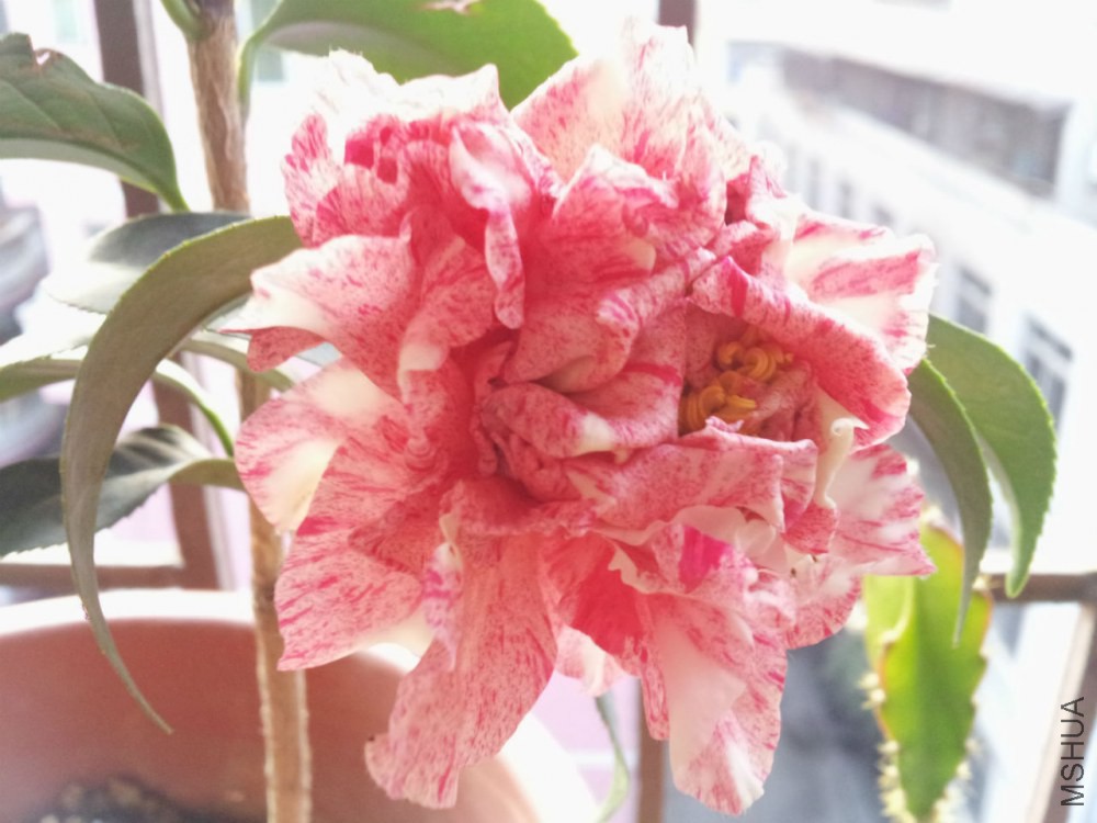 20150216_173653.jpg