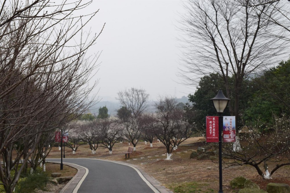 ��ɽ��÷ 023.JPG