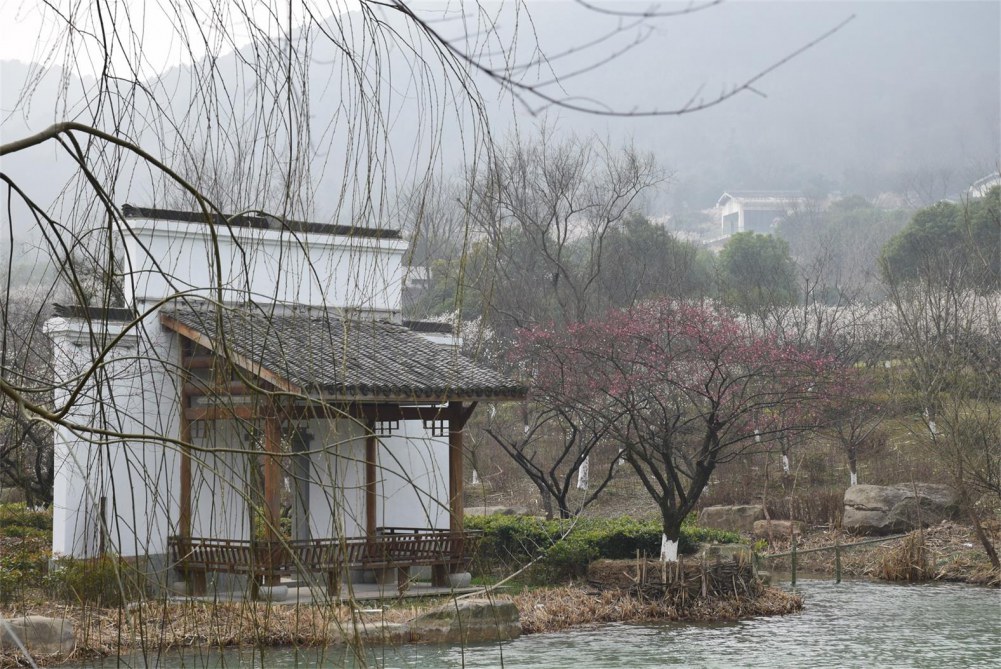 ��ɽ��÷ 046.JPG