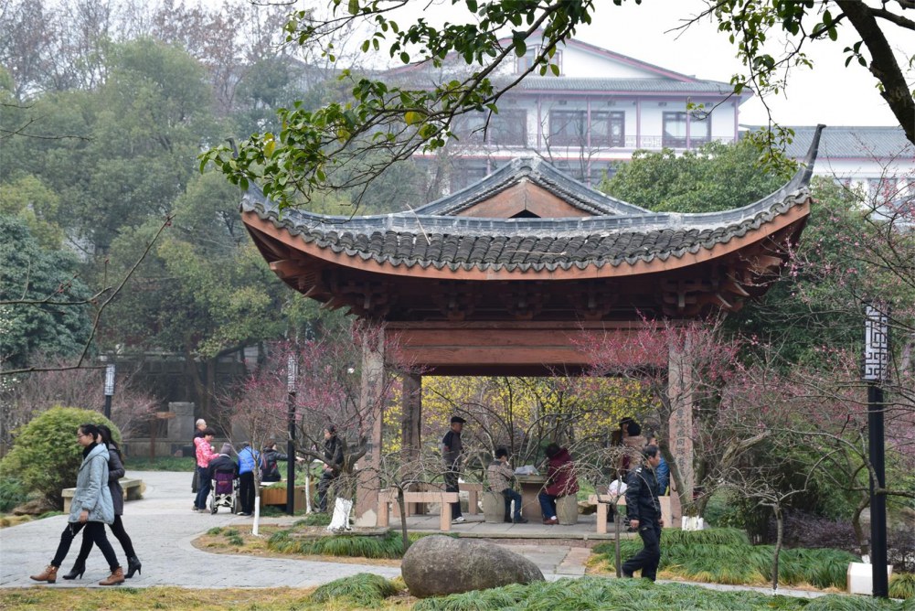 ��ɽ��÷ 190.JPG